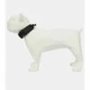 Prada Re-Nylon Dog Collar 1 Prada Re-Nylon Dog Collar -Cheap Prada Store unnamed file 1063
